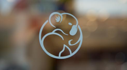 Code Koalas logo on reflected glass